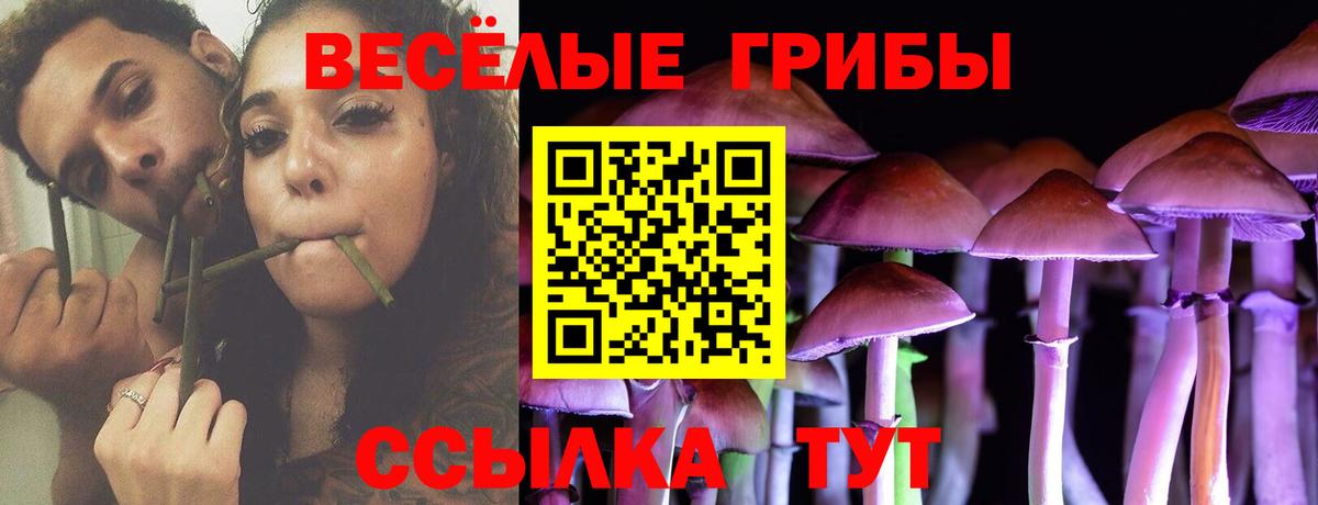 Псилоцибиновые грибы мухоморы  Вход с VPN  Апшеронск 